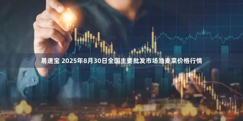 易速宝 2025年8月30日全国主要批发市场油麦菜价格行情